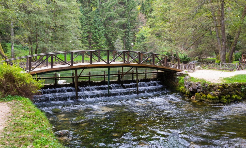 vrelo bosne
